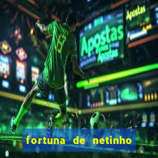 fortuna de netinho de paula